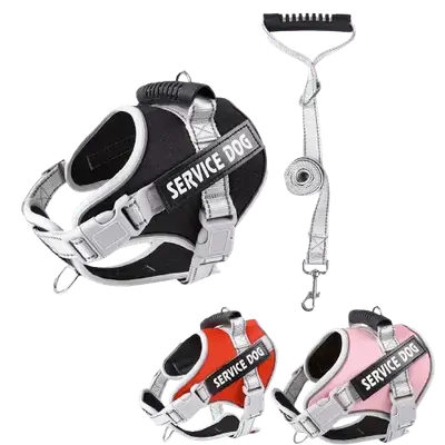 E270 pet harness with leash