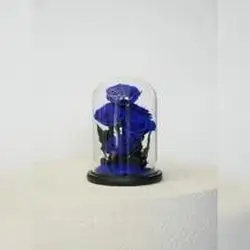 6 Everlasting Flowers - Blue