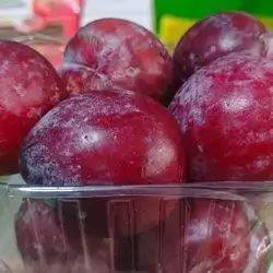 Black Plum