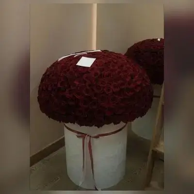 Raised Half-Sphere Flower Stand – 800 Flowers