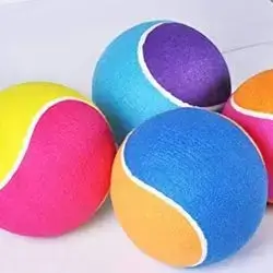 Cat Toy