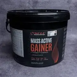 MASS GAINER 4 KG CHOCOLATE