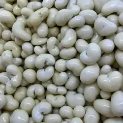 Yougurt Cashew