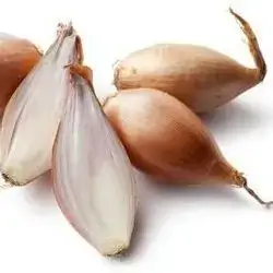onion dolma