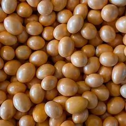 Turkish Badamli