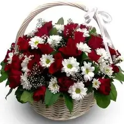 Basket Flower