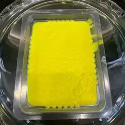 Custard 