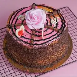 Nutella Cake with Biscuit Fingers & Chocolate Chips