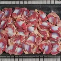Gizzard