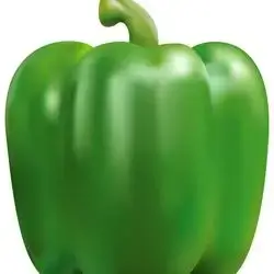 Round Pepper