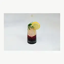 Raspberry Mojito