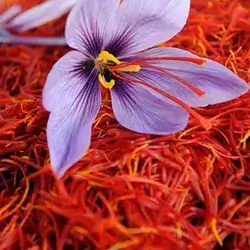 Original Saffron