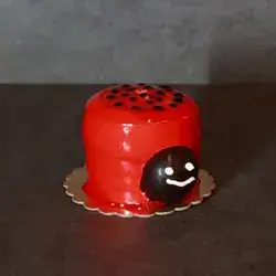 Ladybug Cake