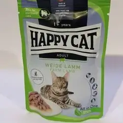 Happy Cat