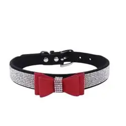 Collar XS