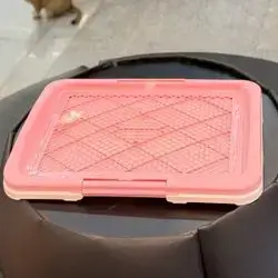  Potty Tray Toilet for Female Dog L