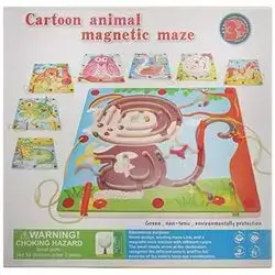 Magnetic Maze
