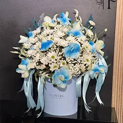 Flower Box