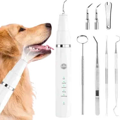 Dog Teeth Cleaning Set