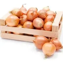 onion dolma