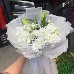 White Dawoodi