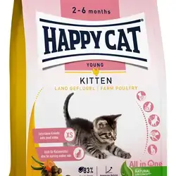 happy cat