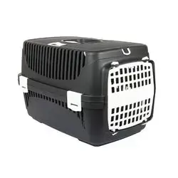 Pet Carriage