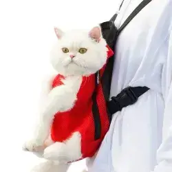 Pet Carrier Bag S