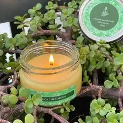 Anti- Mosquito Citronella Scented Candle Jar