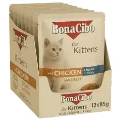 Bonacibo Kitten 12x