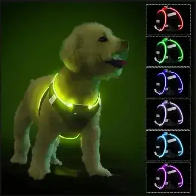 All Colours Led Harness L