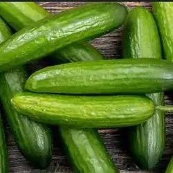 Cucumber