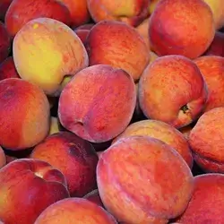 Peach