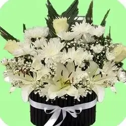 Elegant White Flower Box