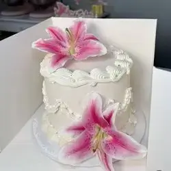 Special Cake -4 Persons