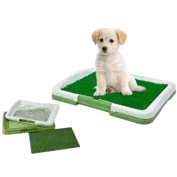 Puppy Training Toilet