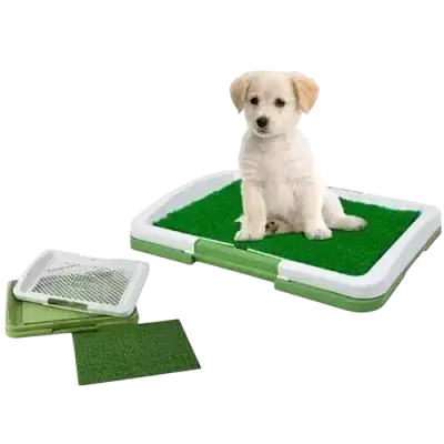 Puppy Training Toilet