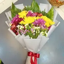 "Dawoody" type of Rose's
