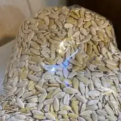Melon Seed
