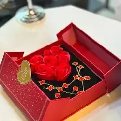 Necklace and Earring Box - Red
