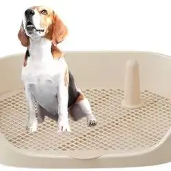 Dog Potty Toilet 47cm