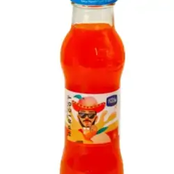 Nadir Juice Aprico Nrb 250ml
