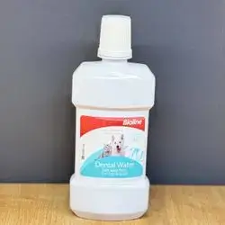 Dental Water 300ml