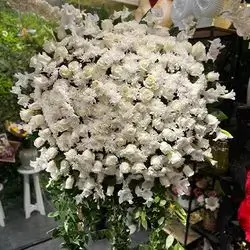 Table Flower
