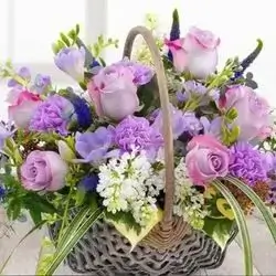 Basket Flower