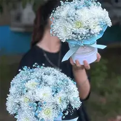 Blue Mix