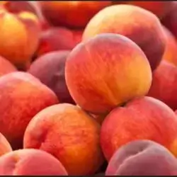 Peach