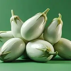 White Eggplant