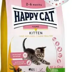 Happy cat kitten 1.3kg