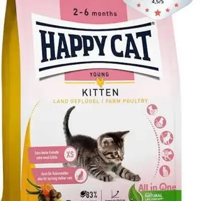 Happy cat kitten 1.3kg